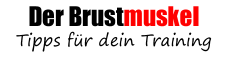 Brustmuskel richtig trainieren